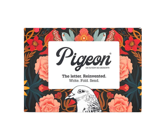 Bright and Beautiful Pigeon Writing Set