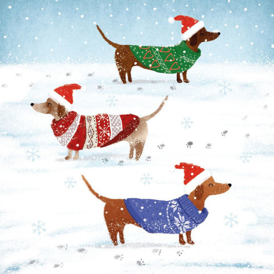 Snowy Paw Prints Christmas Card Pack