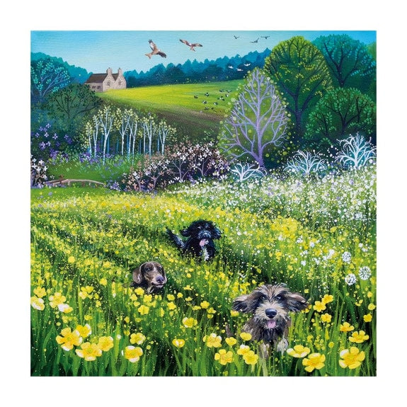 Field of Dreams Greetings Card