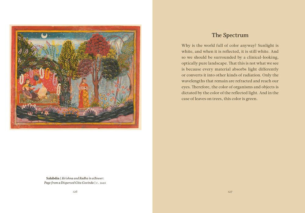 Wisdom From The Hidden LIfe of Trees