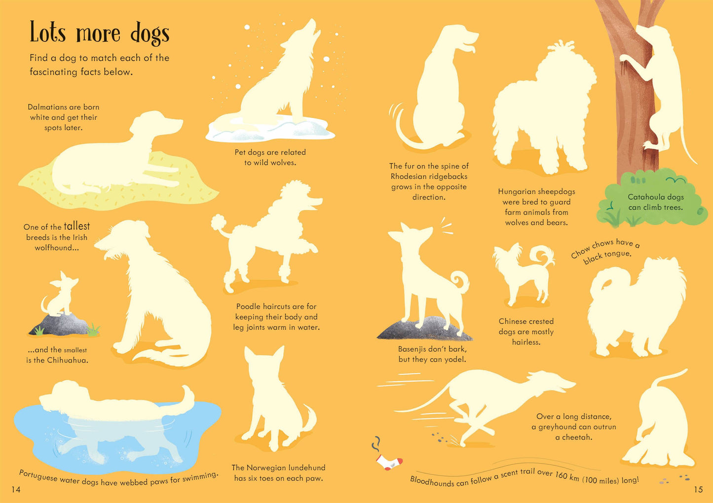 Little First Stickers Dogs and Puppies