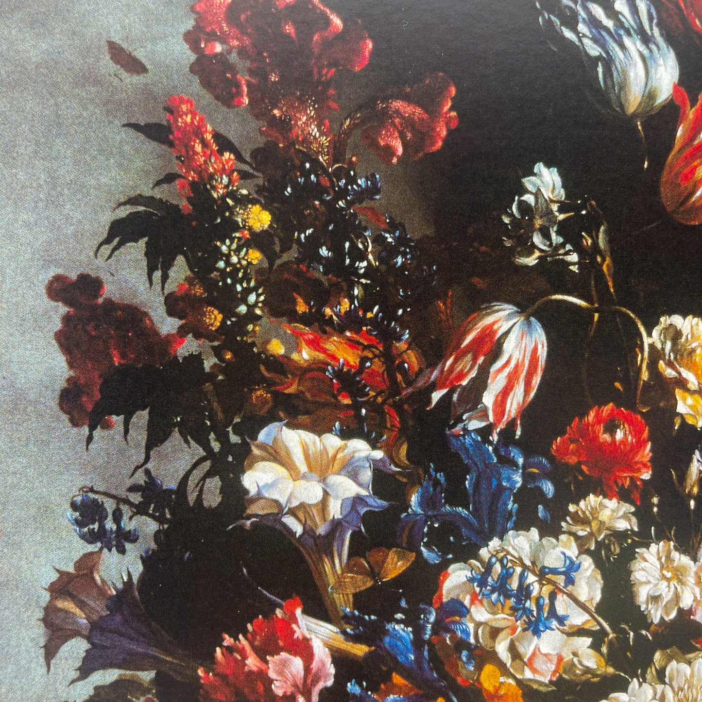 Paolo Porpora Still Life Mounted Print