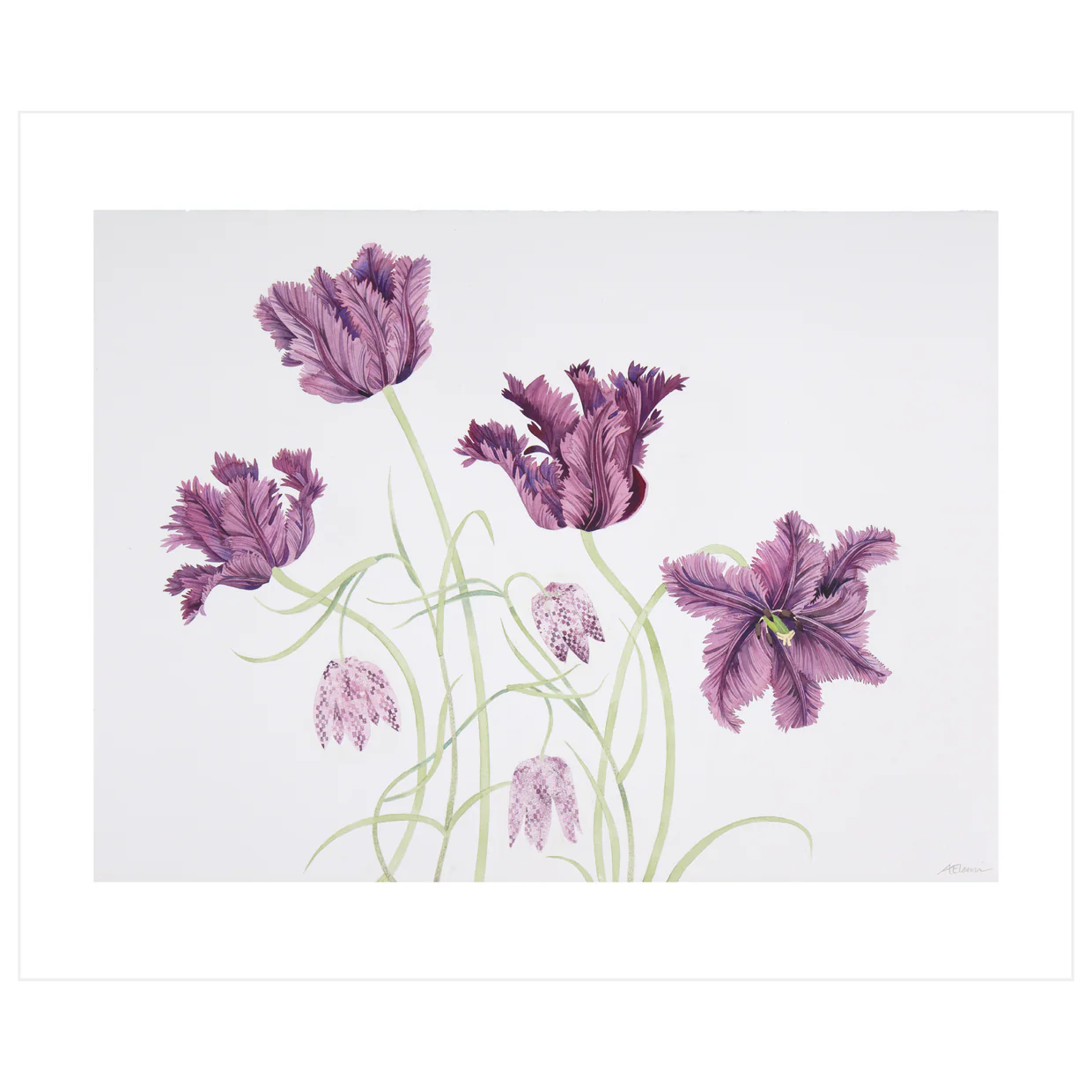 Parrot Tulips Greeting Card