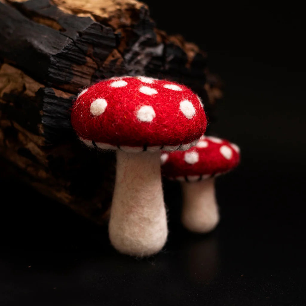 Mini Toadstool