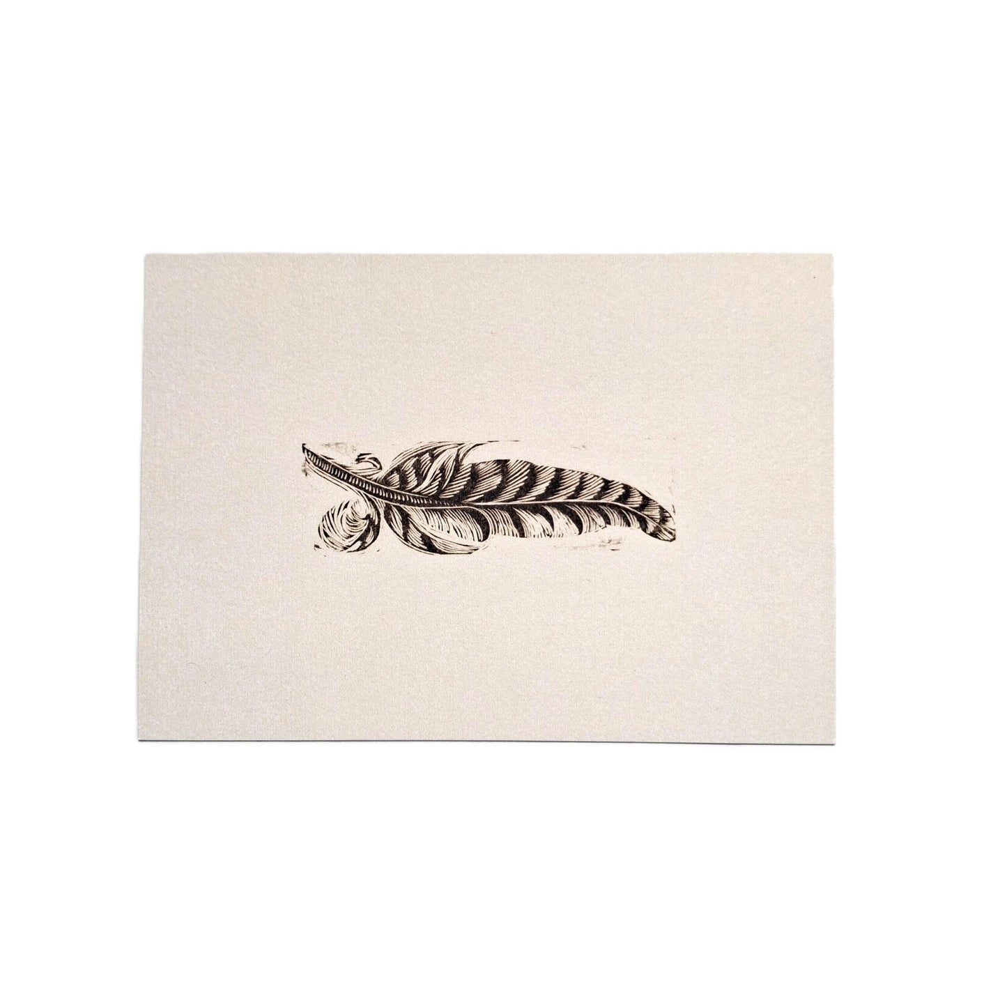 Feather Postcard Enid Marx