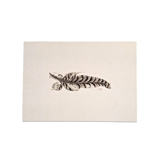 Feather Postcard Enid Marx