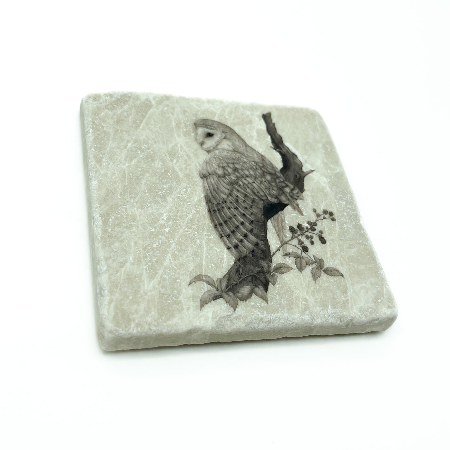 Barn Owl Stone Coaster