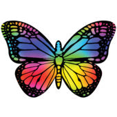 Scratch Art Butterflies