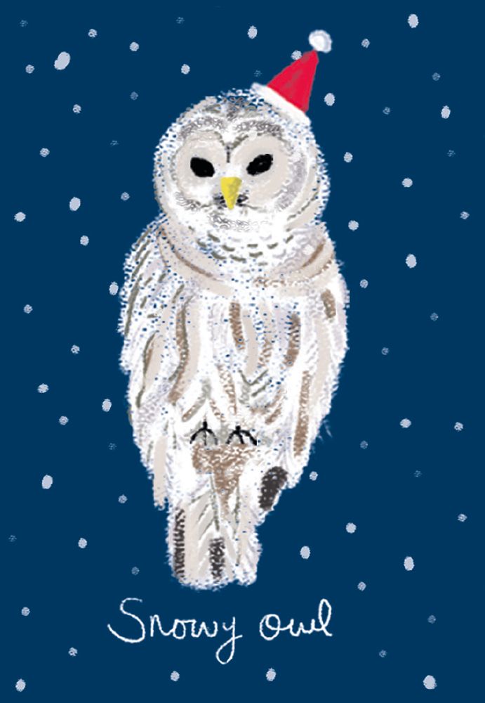 Festive Birds Christmas Card Cube