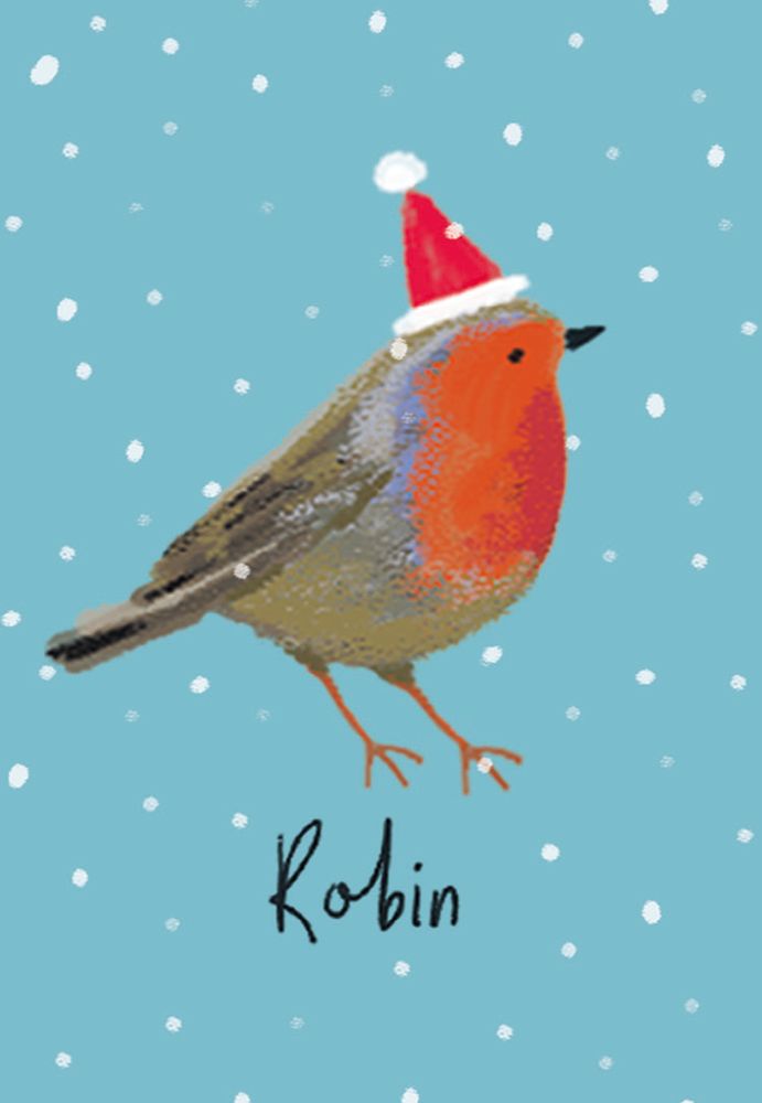 Festive Birds Christmas Card Cube