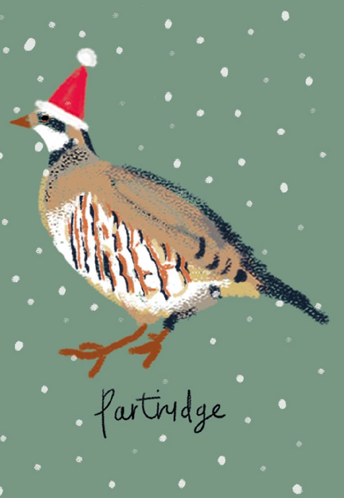 Festive Birds Christmas Card Cube