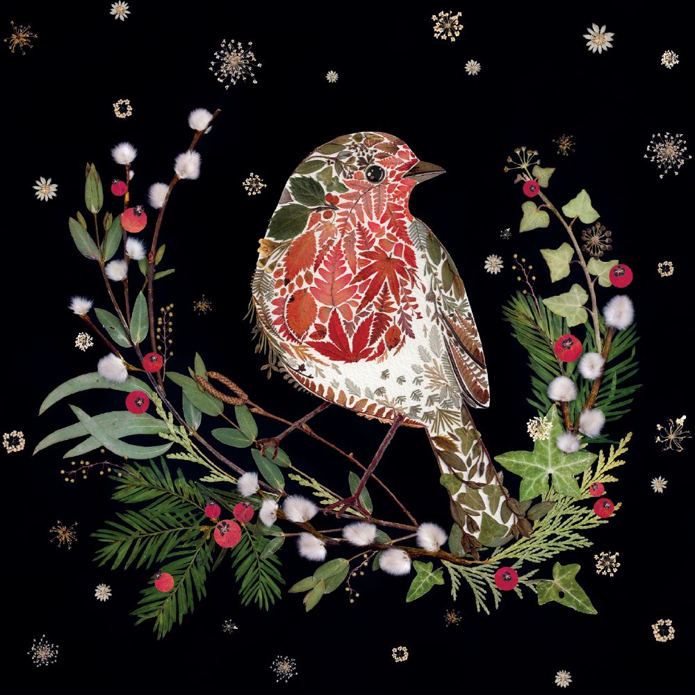 Winter Robin Christmas Greeting Cards