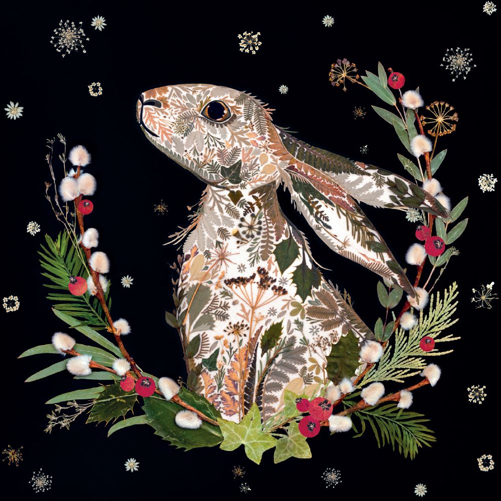 Winter Hare Christmas Greeting Cards