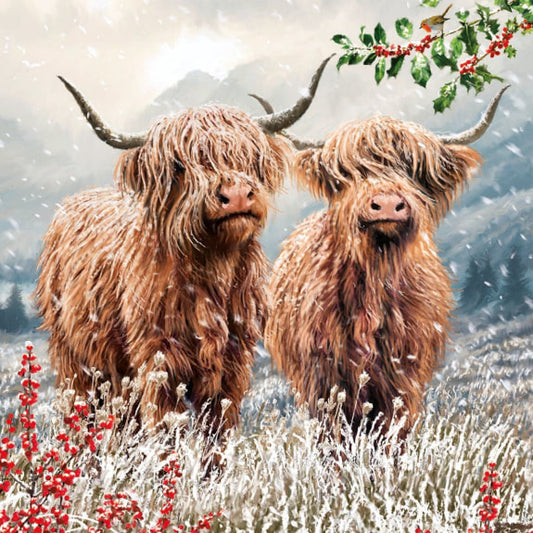Highland Cattle Christmas Card Pack