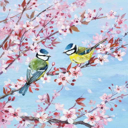 Blossom/Blue Tits Greetings Card