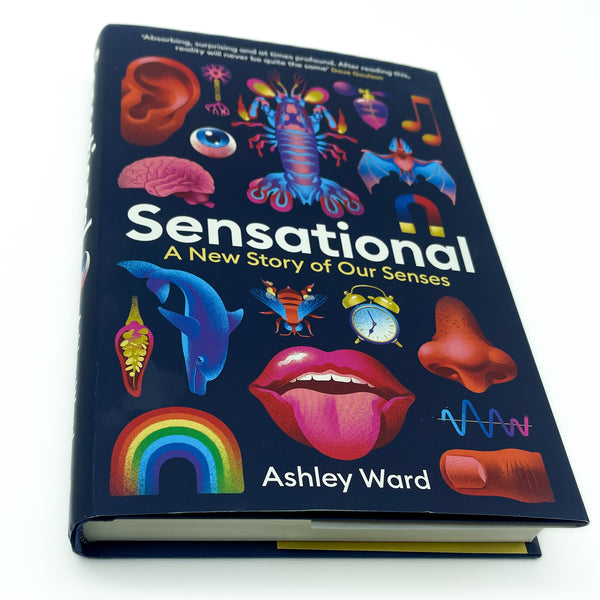 Sensational: A New Story of our Senses by Ashley Ward