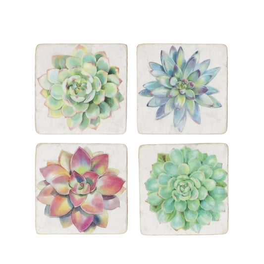 Succulents Coaster
