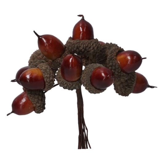 Acorn Bunch