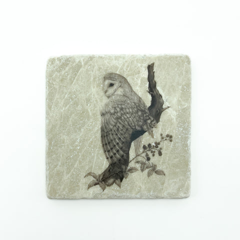 Barn Owl Stone Coaster