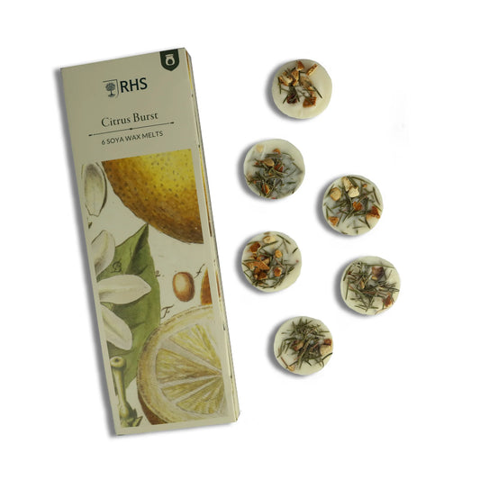 Citrus Burst Wax Melts