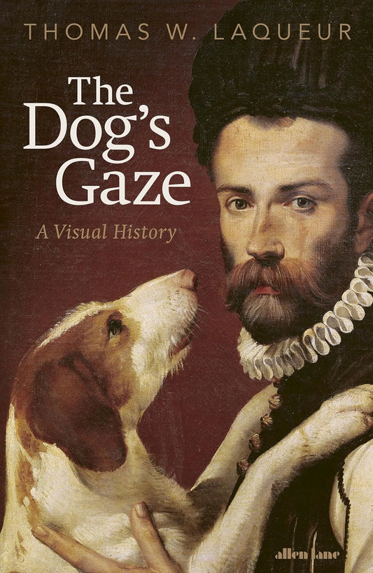 The Dogs Gaze