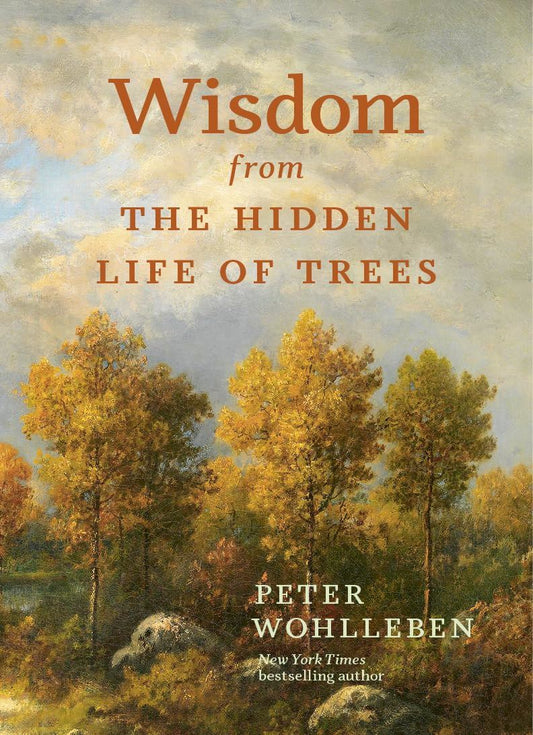 Wisdom From The Hidden LIfe of Trees