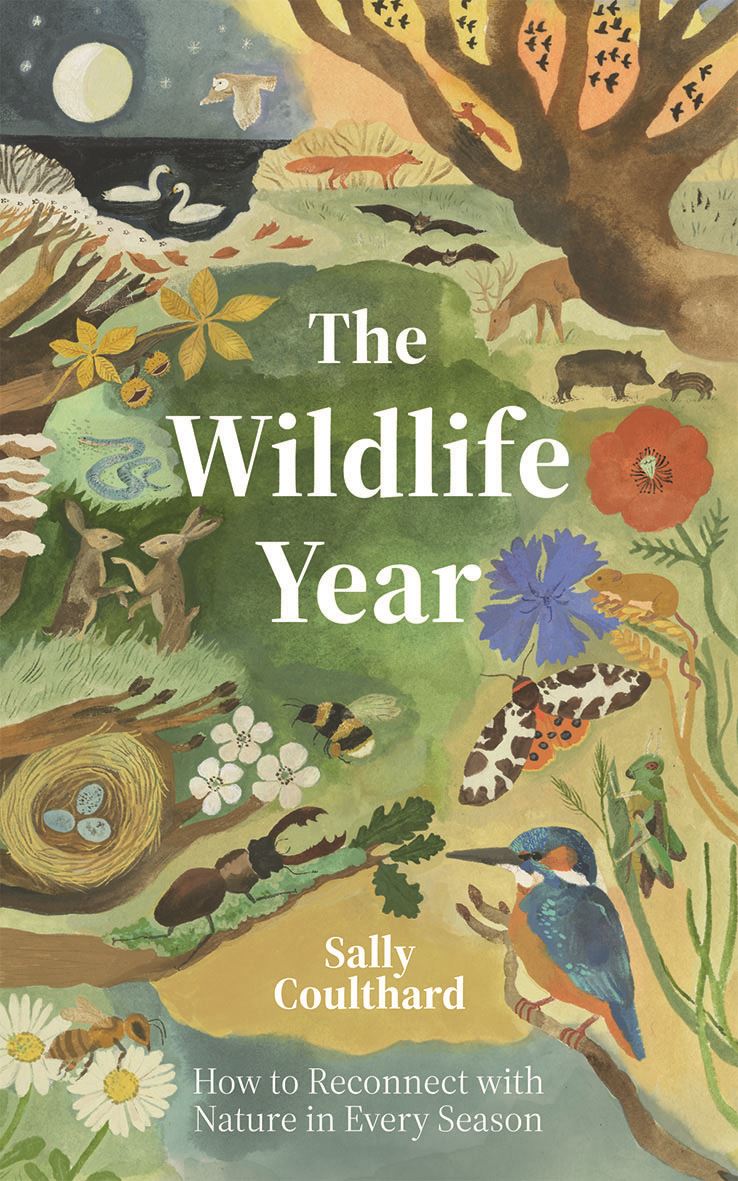 Wildlife Year