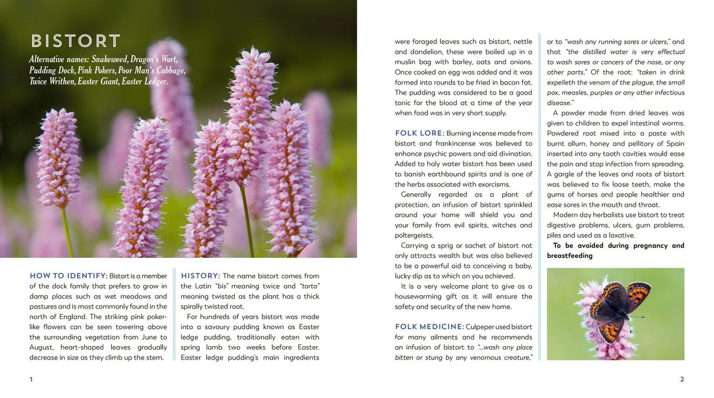Hedgerow Apothecarys