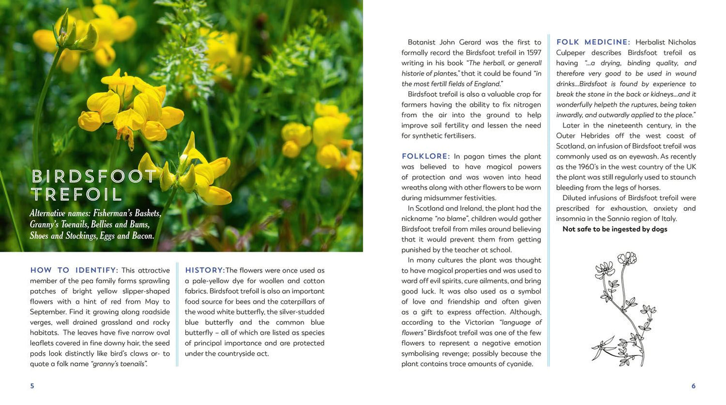Hedgerow Apothecarys