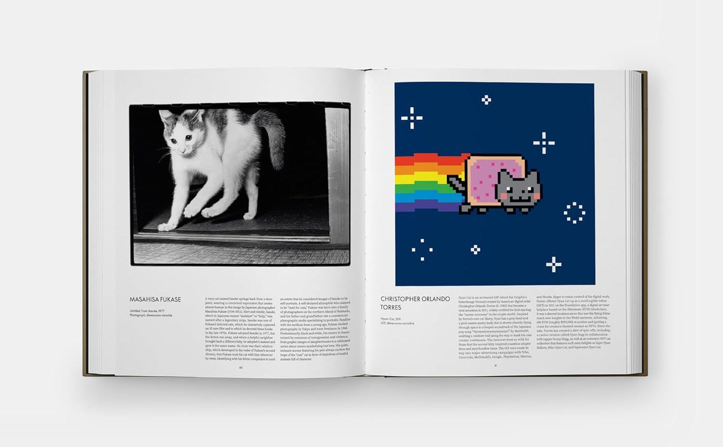 CAT (PHAIDON)
