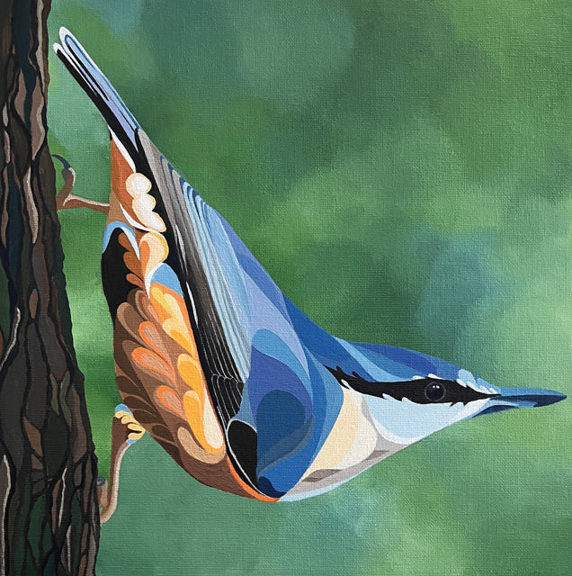 Nuthatch Greeting Card