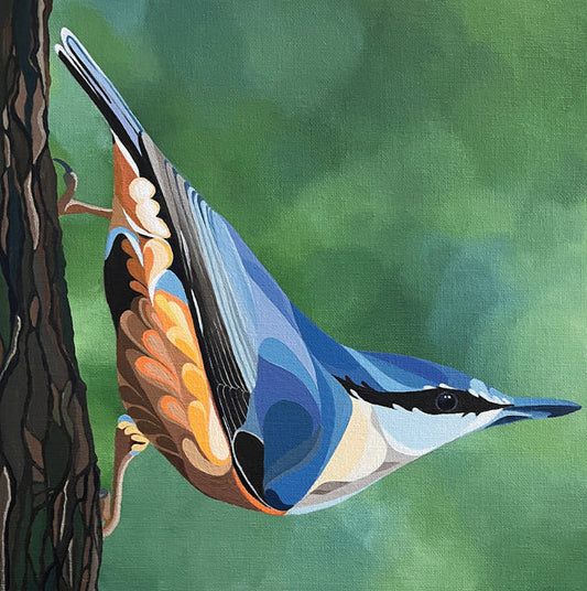 Nuthatch Greeting Card