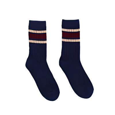 Hector Navy Stripe Socks