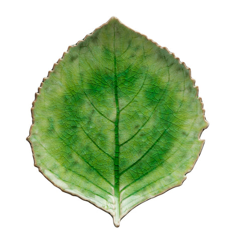 Hydrangea Leaf 22cm Tomate