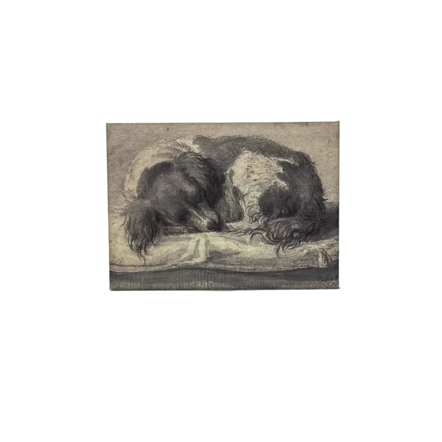 Spaniel Magnet Bruegel to Rembrandt