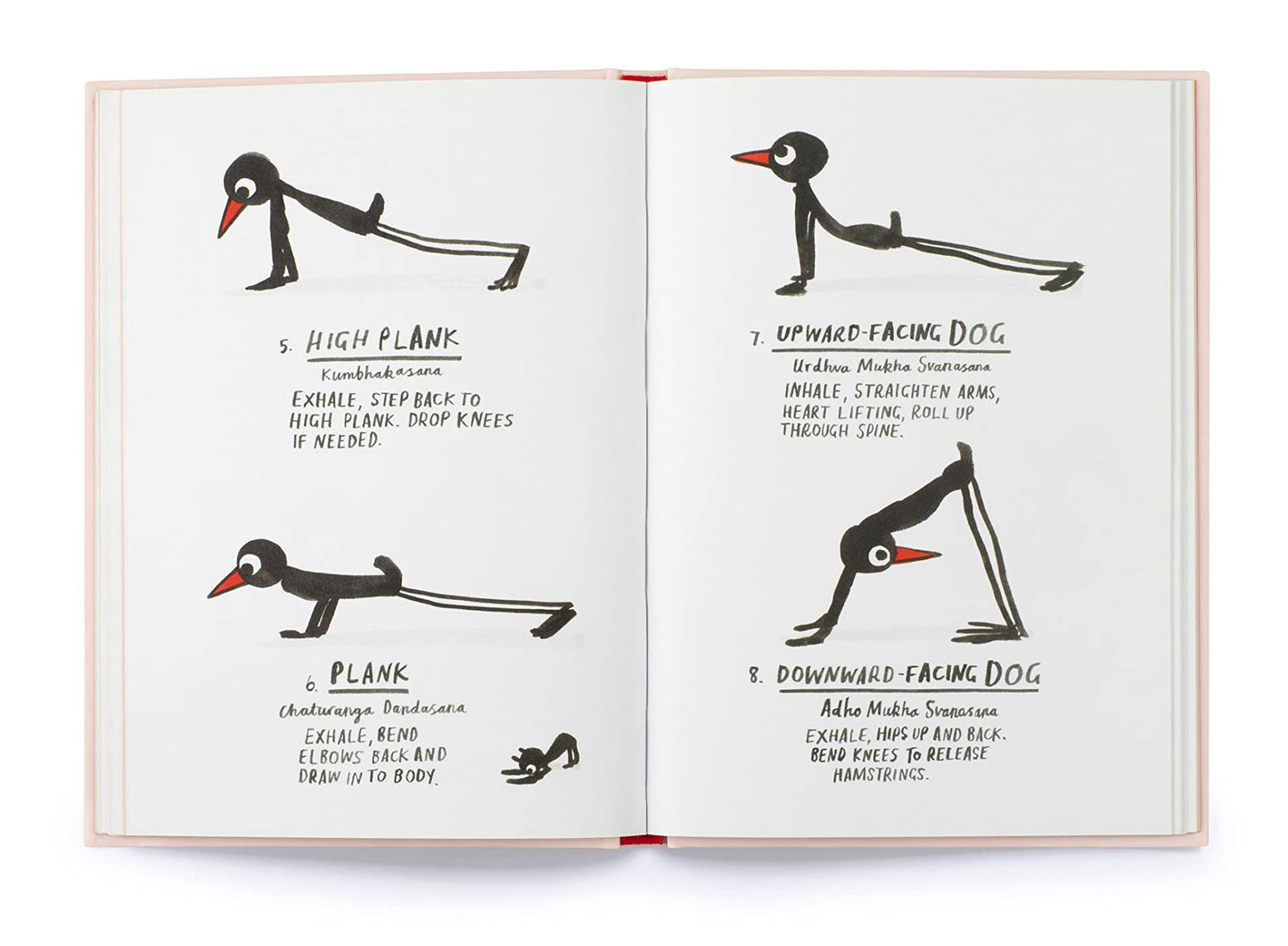 Yoga For Stiff Birds