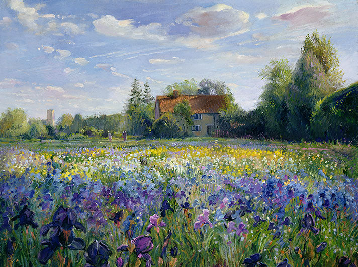 Evening at the Iris Field Greeting Card