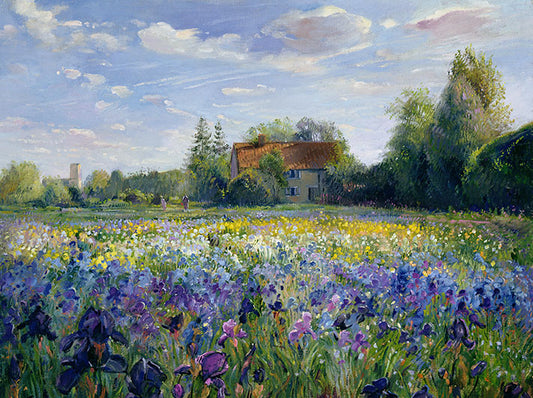 Evening at the Iris Field Greeting Card