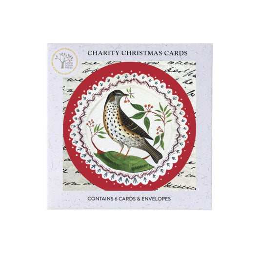 Mistle Thrush Christmas Greeting Cards