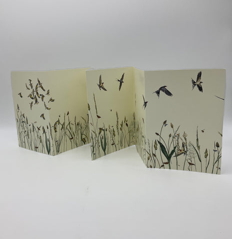 This concertina card is produced by graffeg and the image exclusively produced for Compton Verney by artist Jackie Morris